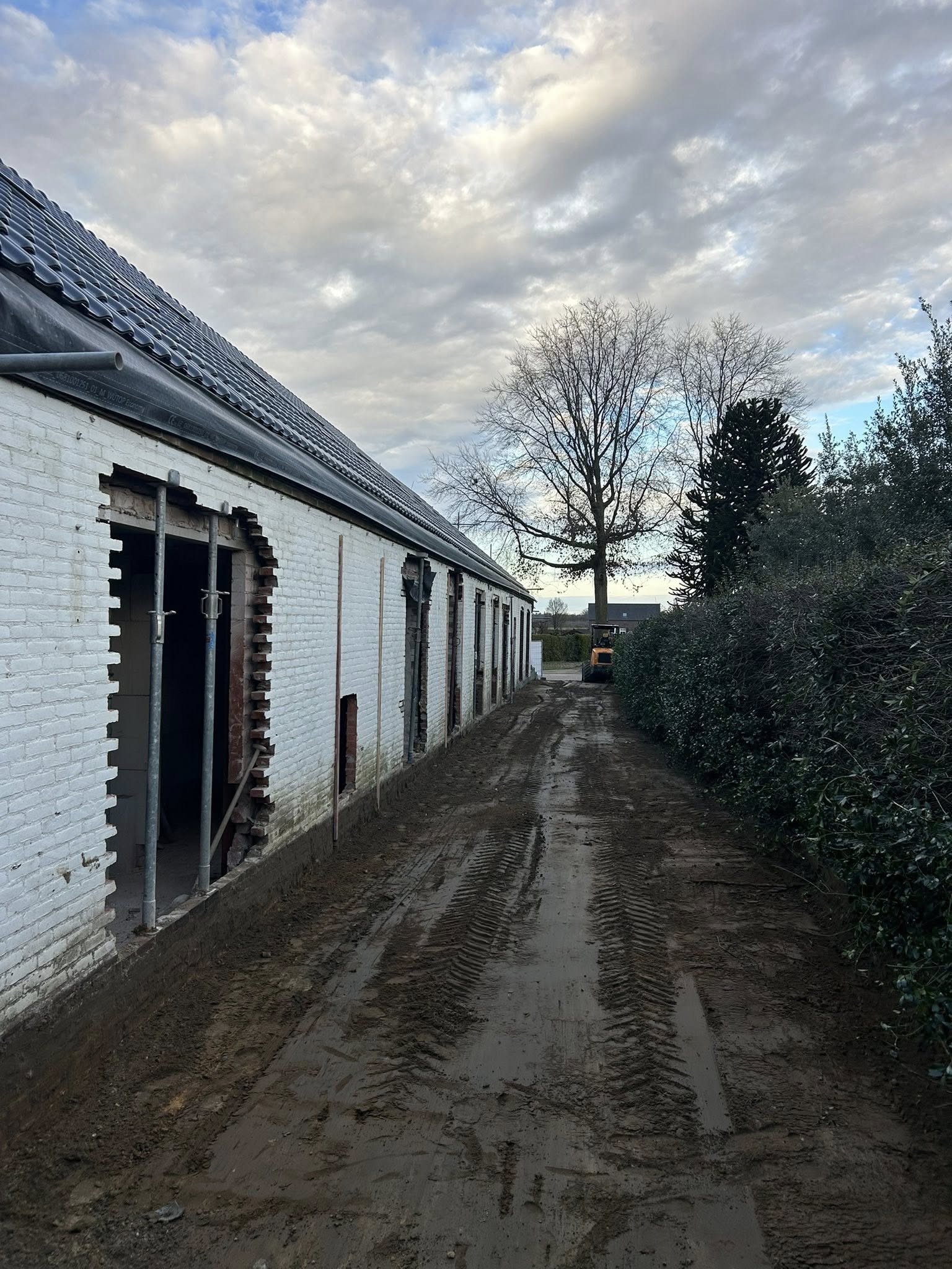 647408028_122305155314211824_1763670347347402957_n (1)